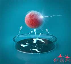 北京试管婴儿供卵服务，北京供卵试管机构有哪些？