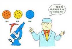 北京供卵成功率有多高，北京公立供卵试管医院有哪些？