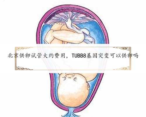 北京供卵试管大约费用，TUBB8基因突变可以供卵吗