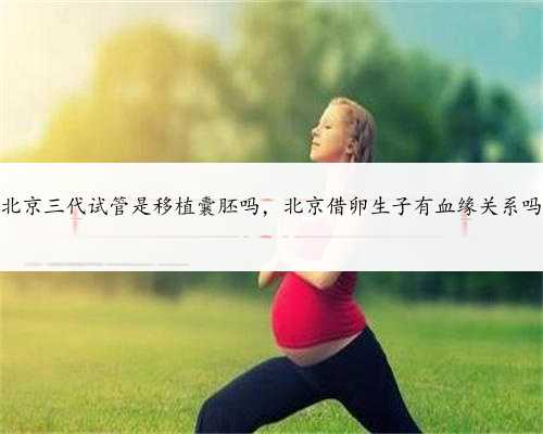 北京三代试管是移植囊胚吗，北京借卵生子有血缘关系吗