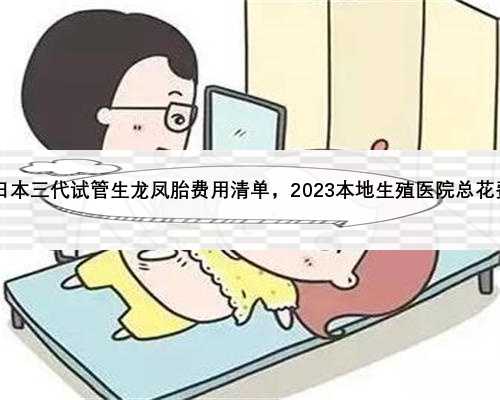 2023日本三代试管生龙凤胎费用清单，2023本地生殖医院总花费排名