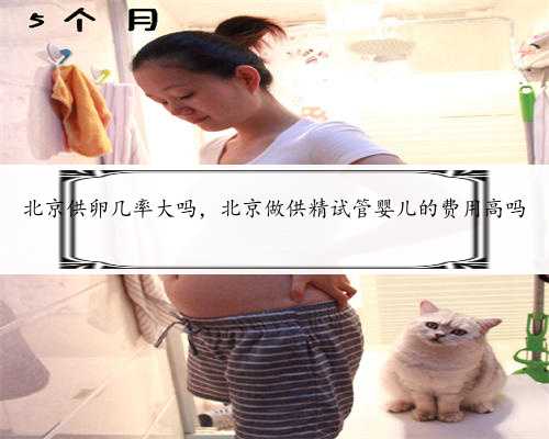 北京供卵几率大吗，北京做供精试管婴儿的费用高吗